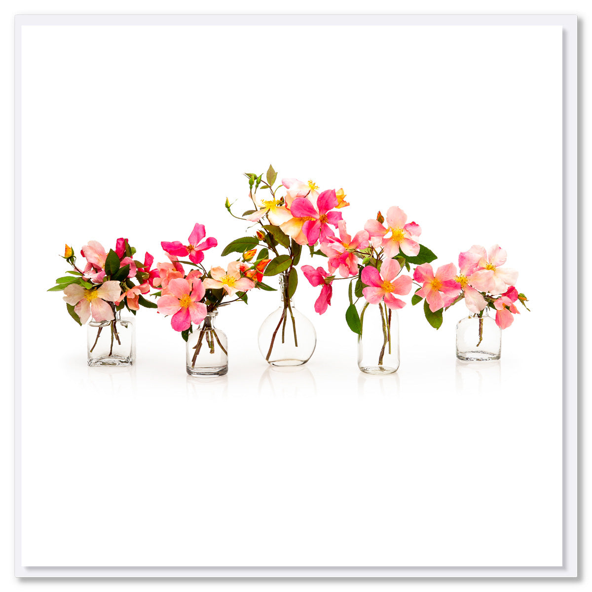 A pink rose vases greeting card from Golly Gosh Creations. Size 142 x 142 mm. A delightful arrangement of dainty pink roses in various vases.