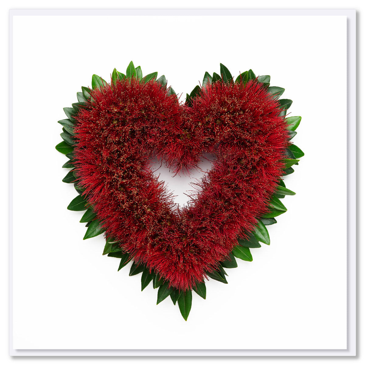 A pohutukawa heart greeting card found at Golly Gosh Creations. Size 142 x 142 mm. Created from the vibrance of the iconic New Zealand flowering tree.