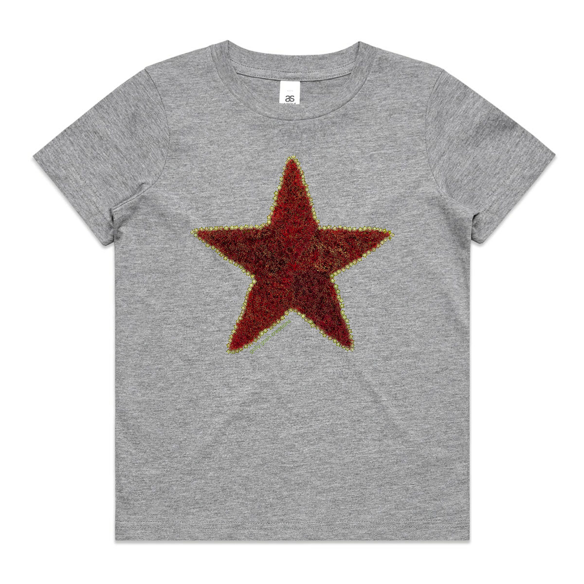 A pohutukawa star grey kids tee shirt by Golly Gosh Creations. Size 2 - 16 years. Created from the iconic NZ tree.  A quality cotton garment.