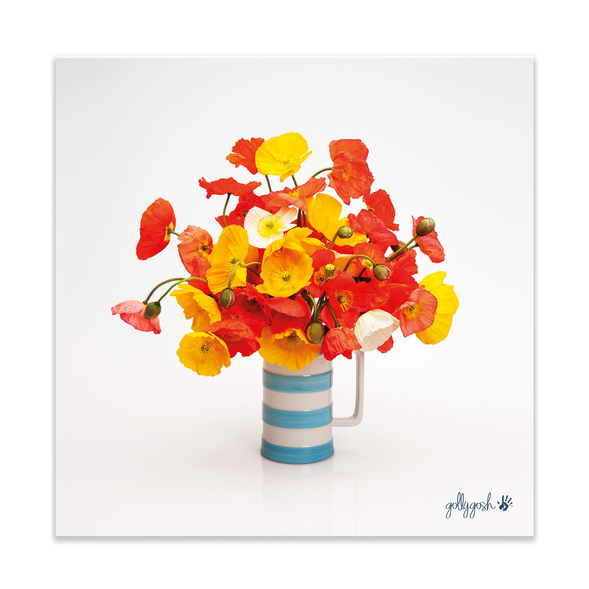 A poppy jug  fine art print from Golly Gosh Creations. A colourful arrangement of wild blooms. Printed on quality white art paper. Three sizes available.