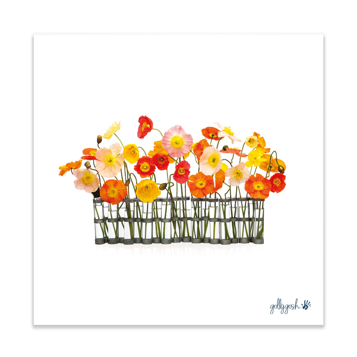 A poppy vases fine art print from Golly Gosh Creations. Crafted from colourful wild flowers.  Printed on quality white art paper. Three sizes available.