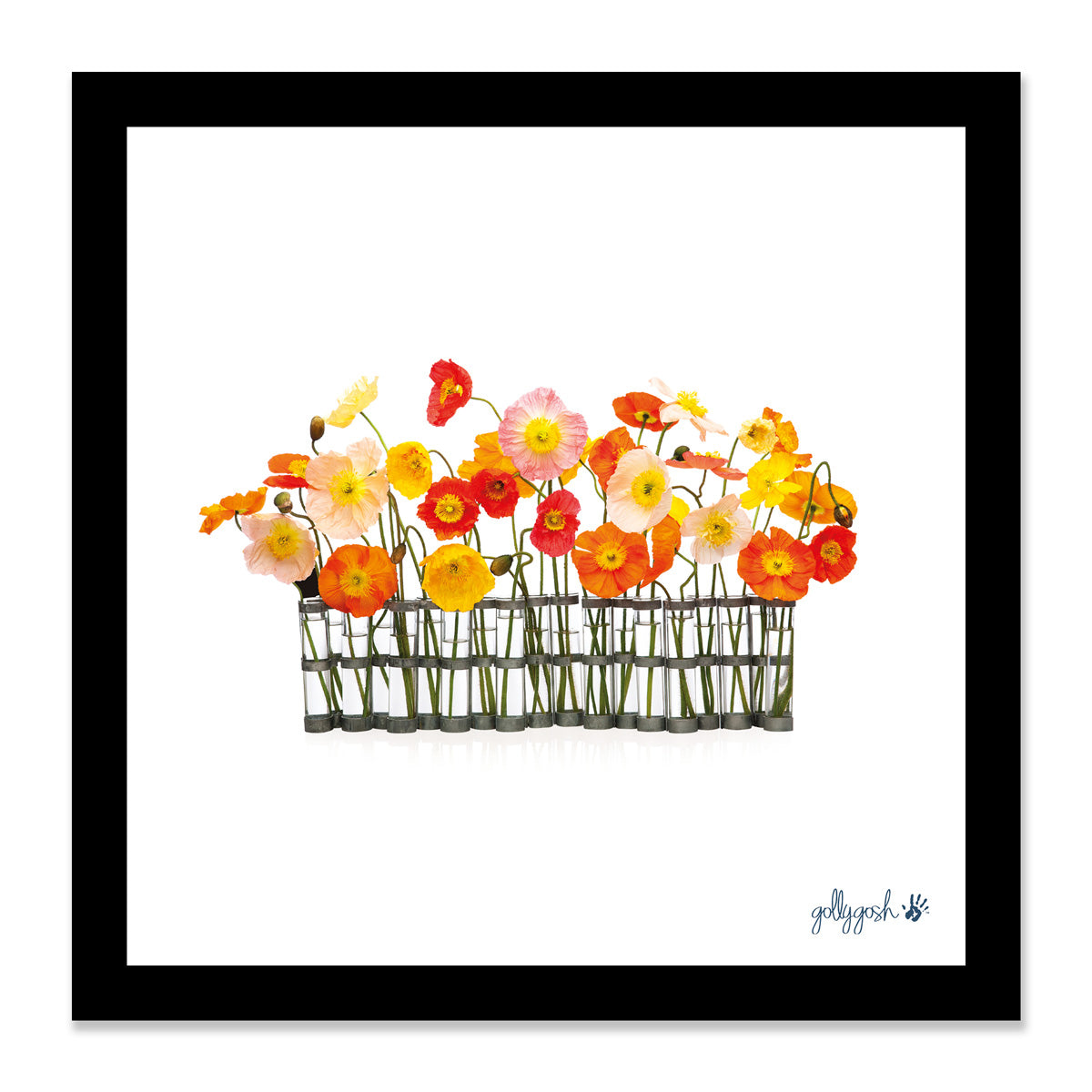Mock up of a framed poppy vases fine art print from Golly Gosh Creations. Available in three sizes ready for framing. 