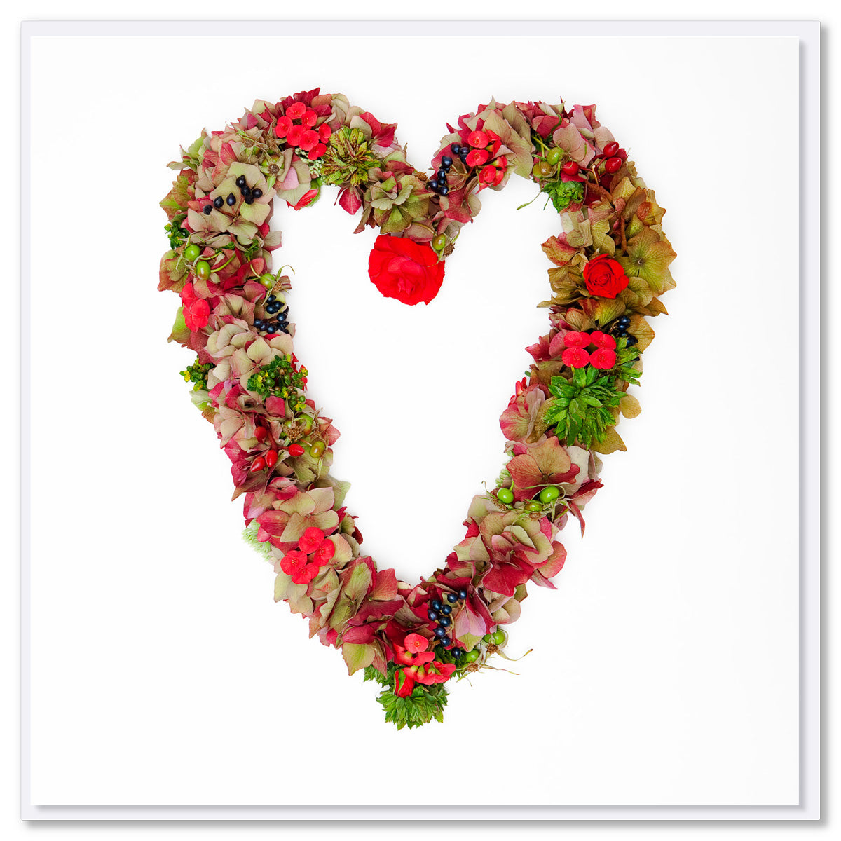 A red hydrangea heart from Golly Gosh Creations. Size 142 x 142 mm. A beautiful heart created from red hydrangea petals and green foliage.