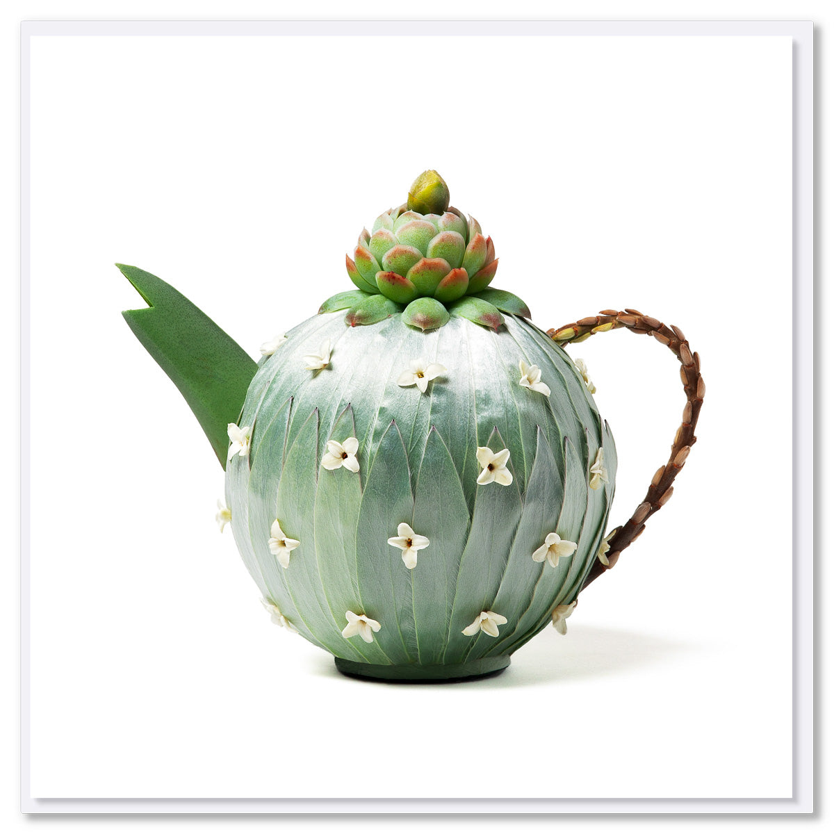 A silver leucadendron teapot greeting card created from soft leucadendron leaves.  Size 142 x 142 mm. Available at Golly Gosh Creations.