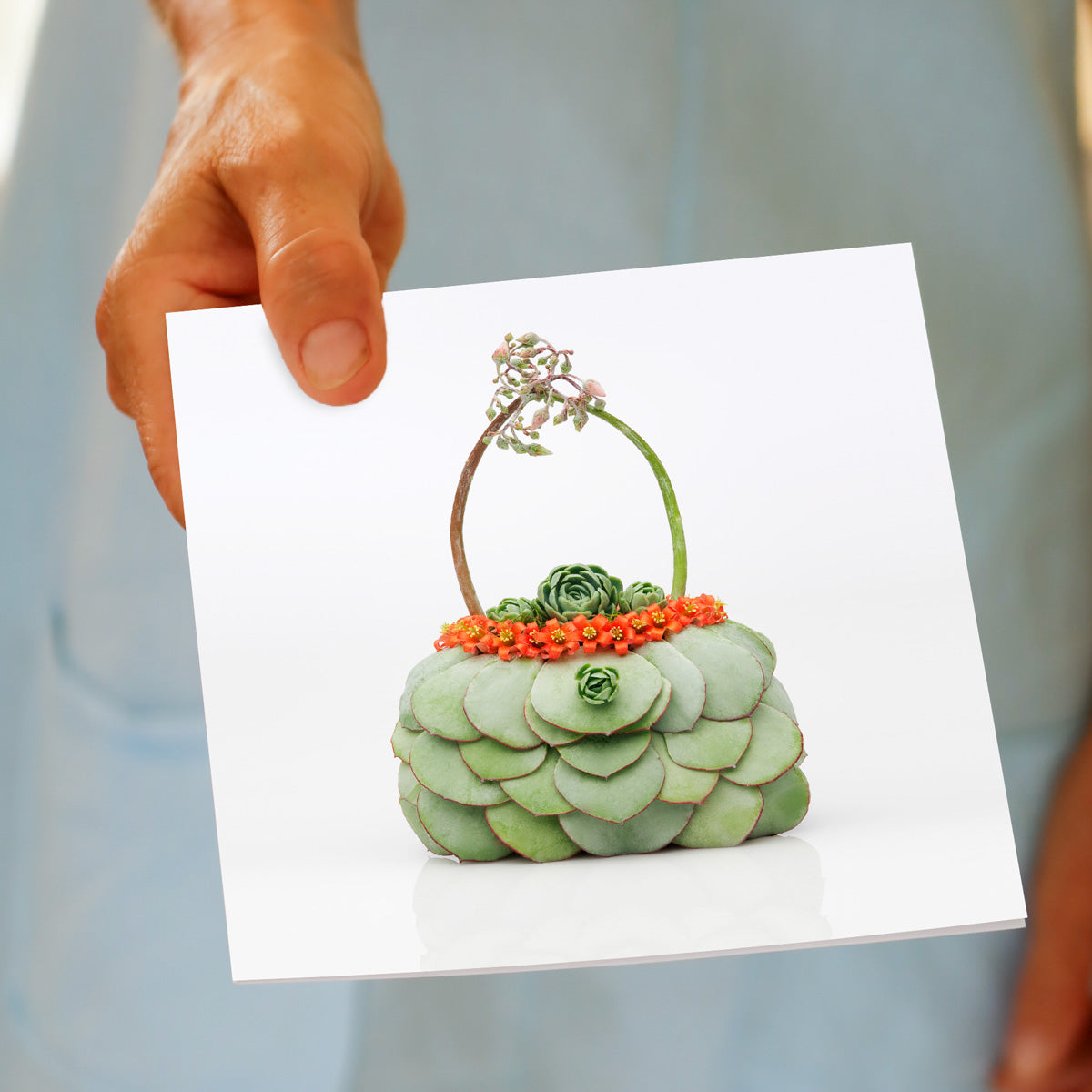 A succulent bag greeting card being hand held. Found at Golly Gosh Creations. Created from distinctive succulents. Size 142 x 142 mm