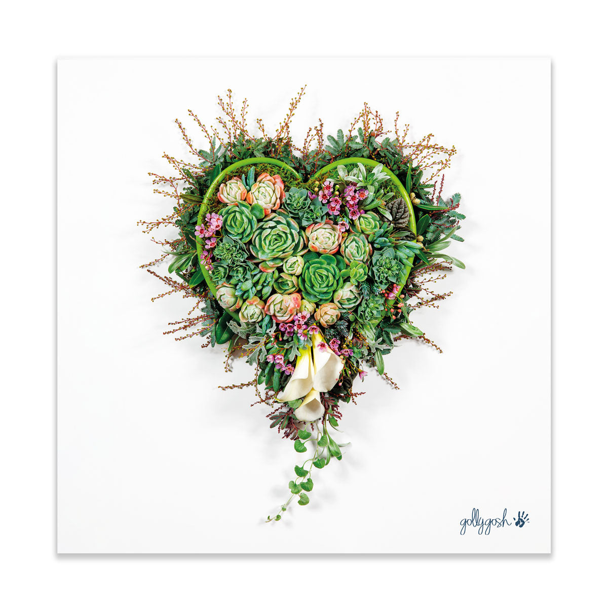 A succulent heart fine art print from Golly Gosh Creations. Crafted from subtle blooms. Printed on quality white art paper. Three sizes available.