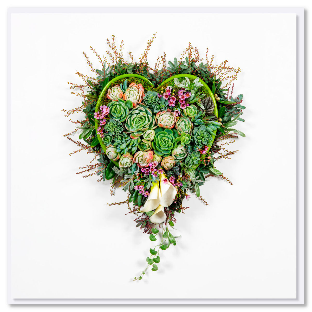 A beautiful succulent heart greeting card by Golly Gosh Creations. Size 142 x 142 mm. Created from subtle succulents and their delicate colourful blossoms.