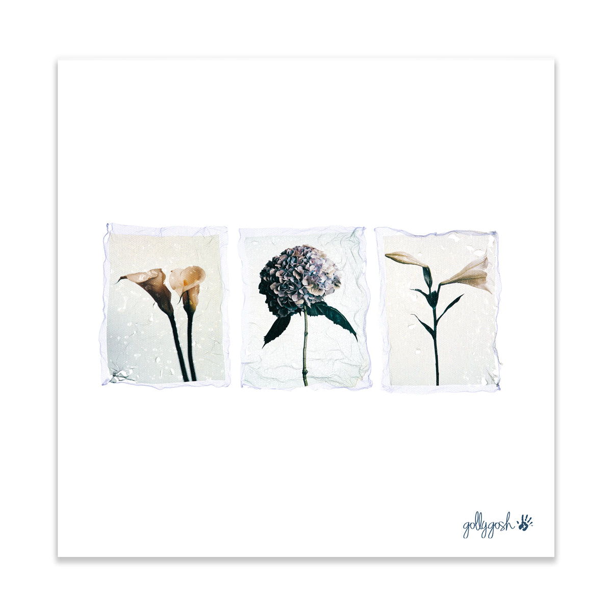 A triple flower polaroid fine art print from Golly Gosh Creations. Crafted from colourful dainty flowers. Printed on quality white art paper. Three sizes available.