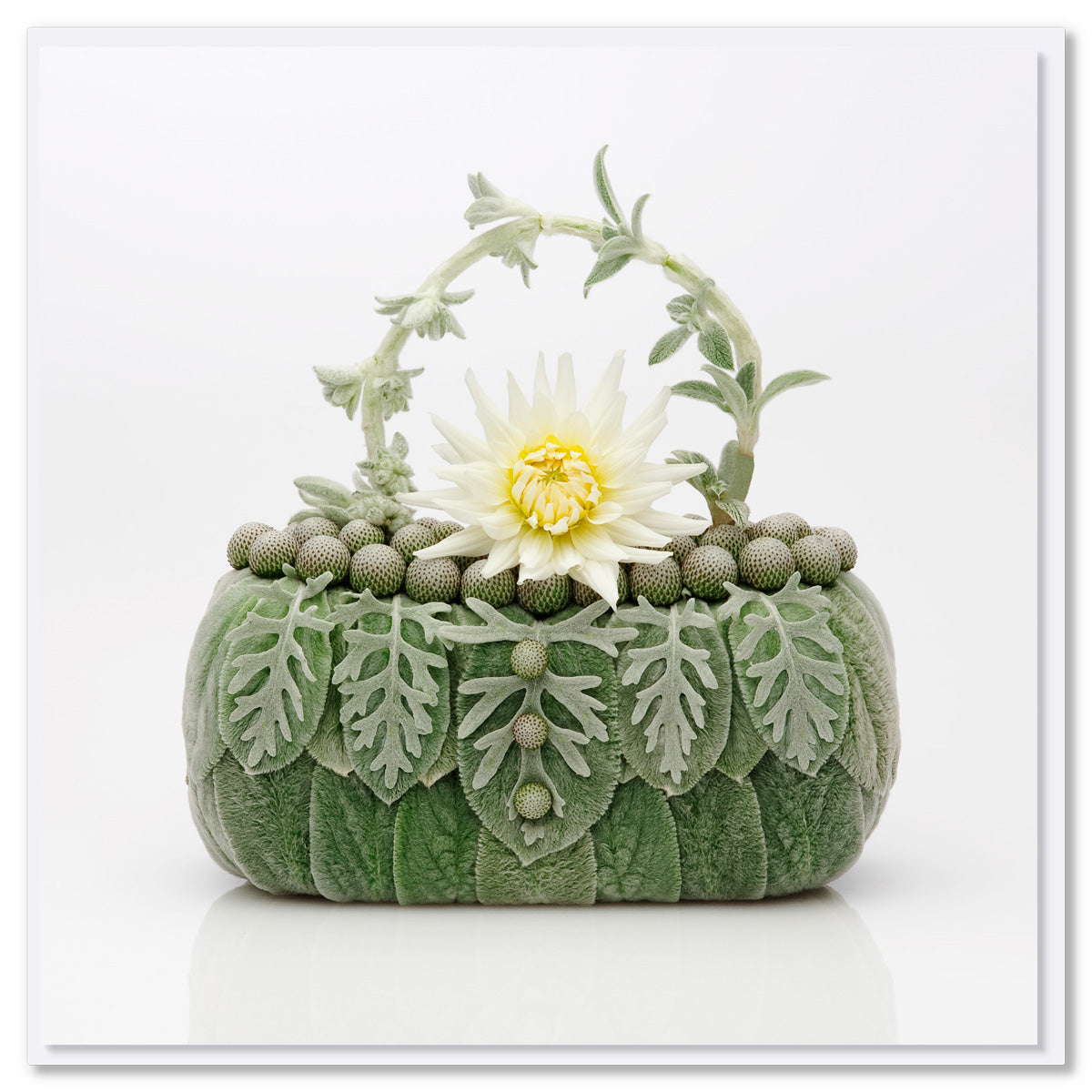 A white dahlia bag greeting card from Golly Gosh Creations. Crafted with a beautiful white dahlia bloom and velvety lambs ear petals. Size 142 x 142 mm.