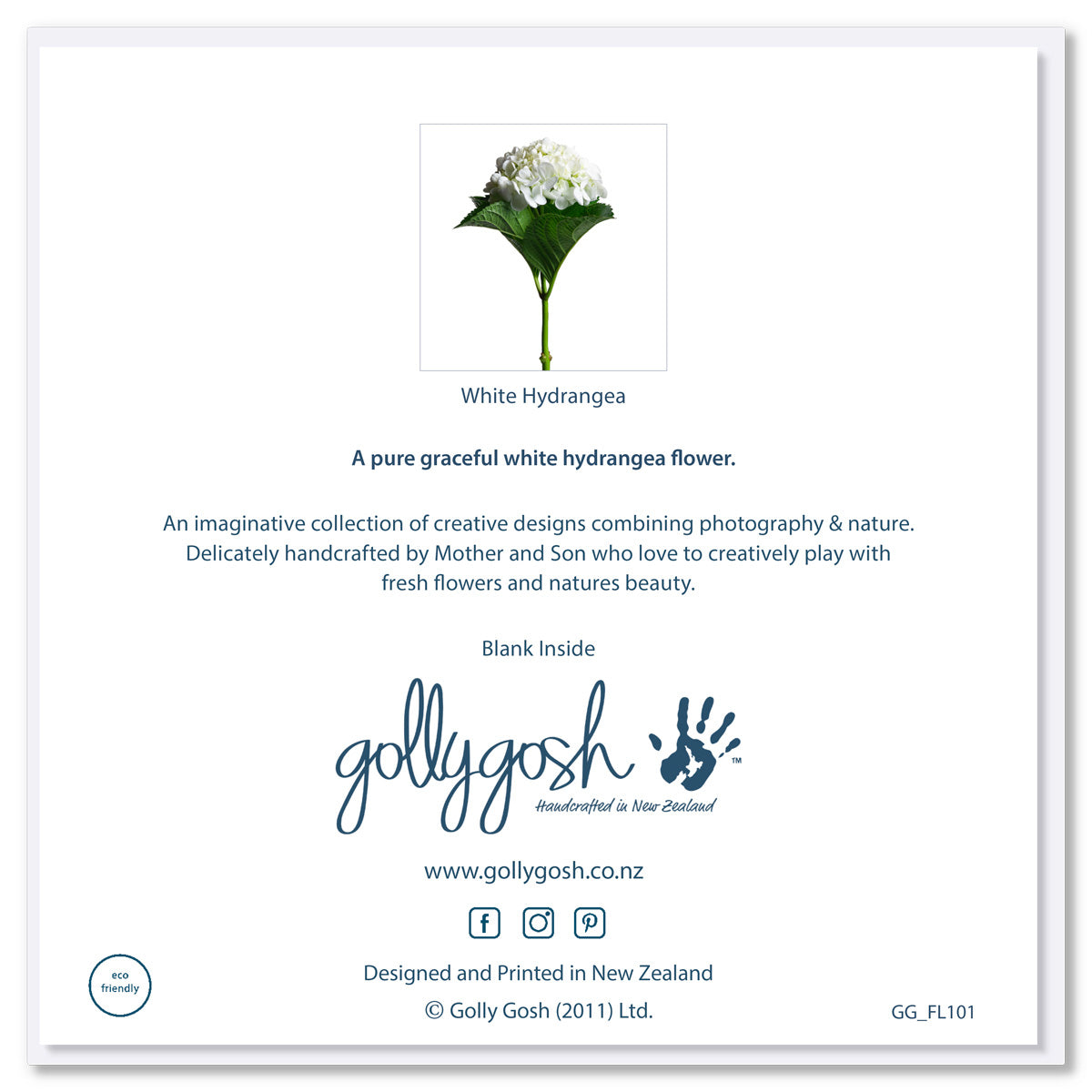The back cover of a striking single white hydrangea on a white background. Size 142 x 142mm. A quality greeting card found at Golly Gosh Creations.