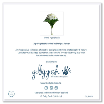 The back cover of a striking single white hydrangea on a white background. Size 142 x 142mm. A quality greeting card found at Golly Gosh Creations.