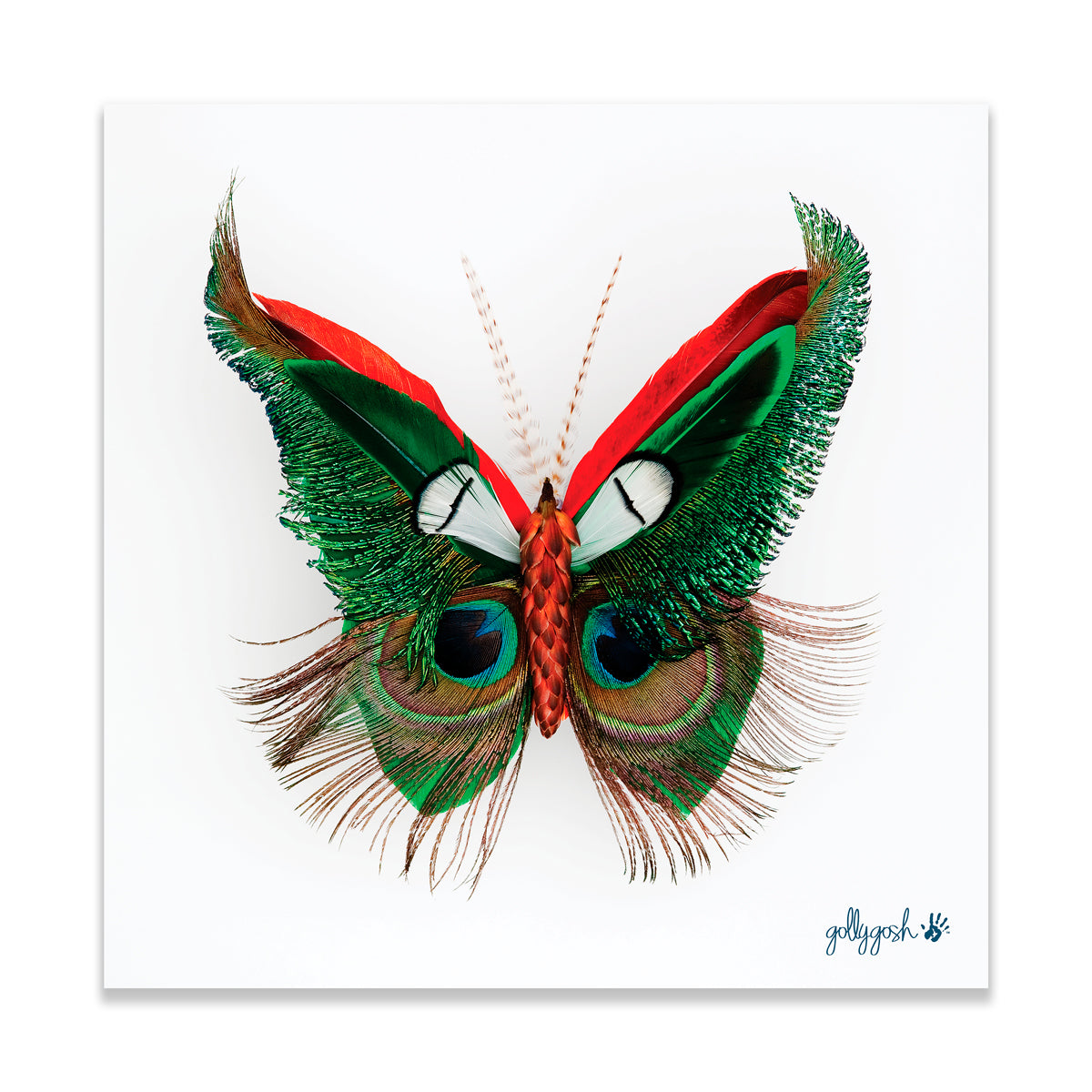 Feather Butterfly Fine Art Print