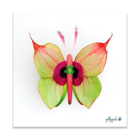 Anthurium Butterfly Fine Art Print