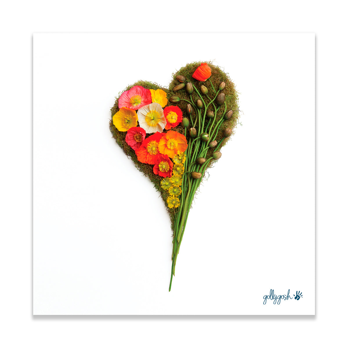 Poppy Heart Fine Art Print