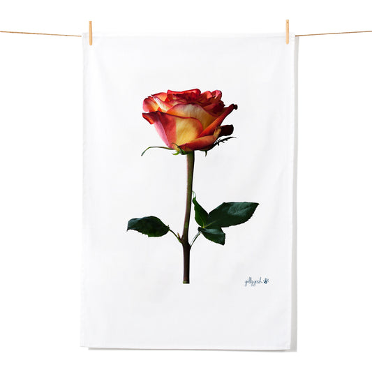 An elegant blooming variegated red columbian rose pops on this quality cotton tea towel from Golly Gosh Creations.